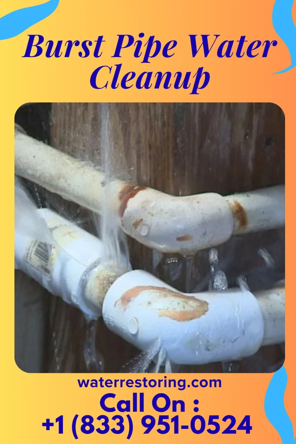 Burst Pipe Water Cleanup in South Point, OH