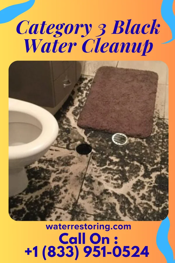 Category 3 Black Water Cleanup in South Point, OH
